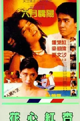 日韩在线视频播放