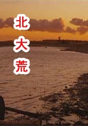国产全部视频在线播放
