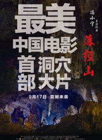 我哥哥的妻子